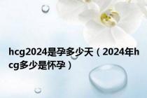 hcg2024是孕多少天（2024年hcg多少是怀孕）