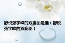 舒悦张宇峰的双胞胎是谁（舒悦张宇峰的双胞胎）