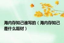 海内存知己谁写的（海内存知己是什么题材）