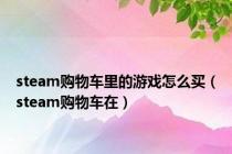 steam购物车里的游戏怎么买（steam购物车在）