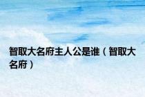 智取大名府主人公是谁（智取大名府）