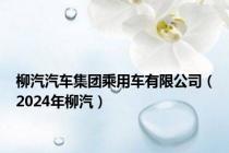 柳汽汽车集团乘用车有限公司（2024年柳汽）