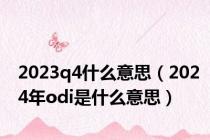 2023q4什么意思（2024年odi是什么意思）