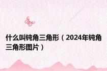 什么叫钝角三角形（2024年钝角三角形图片）