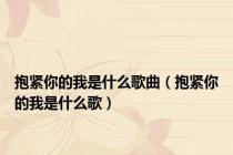抱紧你的我是什么歌曲（抱紧你的我是什么歌）