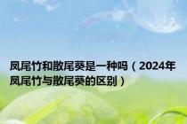 凤尾竹和散尾葵是一种吗（2024年凤尾竹与散尾葵的区别）