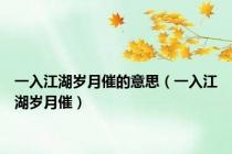 一入江湖岁月催的意思（一入江湖岁月催）