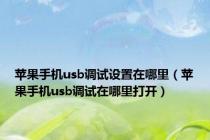 苹果手机usb调试设置在哪里（苹果手机usb调试在哪里打开）