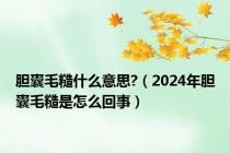 胆囊毛糙什么意思?（2024年胆囊毛糙是怎么回事）
