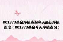 001373基金净值查询今天最新净值 百度（001373基金今天净值查询）