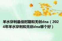 羊水穿刺最佳时期和无创dna（2024年羊水穿刺和无创dna哪个好）