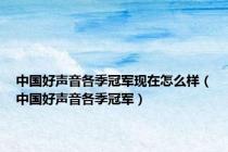 中国好声音各季冠军现在怎么样（中国好声音各季冠军）