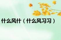 什么风什（什么风习习）