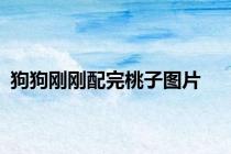 狗狗刚刚配完桃子图片