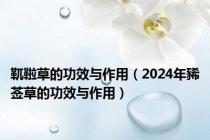 靰鞡草的功效与作用（2024年豨莶草的功效与作用）