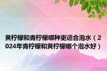 黄柠檬和青柠檬哪种更适合泡水（2024年青柠檬和黄柠檬哪个泡水好）