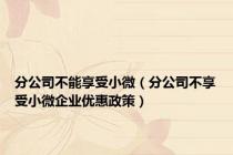 分公司不能享受小微（分公司不享受小微企业优惠政策）