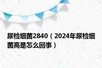尿检细菌2840（2024年尿检细菌高是怎么回事）