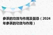 参茶的功效与作用及禁忌（2024年参茶的功效与作用）
