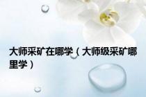 大师采矿在哪学（大师级采矿哪里学）