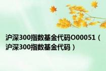 沪深300指数基金代码O00051（沪深300指数基金代码）