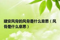 建安风骨的风骨是什么意思（风骨是什么意思）