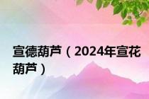 宣德葫芦（2024年宣花葫芦）