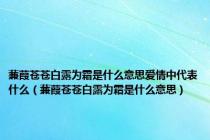蒹葭苍苍白露为霜是什么意思爱情中代表什么（蒹葭苍苍白露为霜是什么意思）