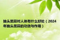 独头黑蒜对人体有什么好处（2024年独头黑蒜的功效与作用）