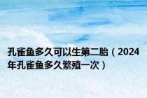 孔雀鱼多久可以生第二胎（2024年孔雀鱼多久繁殖一次）
