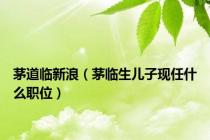 茅道临新浪（茅临生儿子现任什么职位）