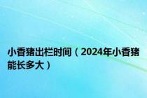 小香猪出栏时间（2024年小香猪能长多大）