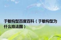 于敏构型百度百科（于敏构型为什么给法国）