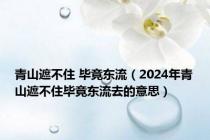 青山遮不住 毕竟东流（2024年青山遮不住毕竟东流去的意思）