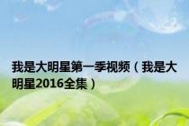我是大明星第一季视频（我是大明星2016全集）