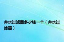 井水过滤器多少钱一个（井水过滤器）