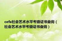 cefa社会艺术水平考级证书查询（社会艺术水平考级证书查询）