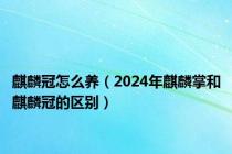 麒麟冠怎么养（2024年麒麟掌和麒麟冠的区别）
