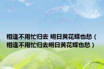 相逢不用忙归去 明日黄花蝶也愁（相逢不用忙归去明日黄花蝶也愁）