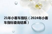 21年小客车指标（2024年小客车指标查询结果）