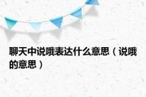 聊天中说哦表达什么意思（说哦的意思）