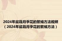 2024年盆栽月季花的繁殖方法视频（2024年盆栽月季花的繁殖方法）