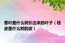 香叶是什么树长出来的叶子（桂皮是什么树的皮）