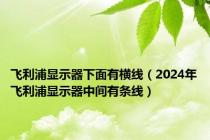飞利浦显示器下面有横线（2024年飞利浦显示器中间有条线）