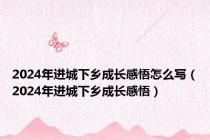 2024年进城下乡成长感悟怎么写（2024年进城下乡成长感悟）