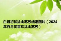 白月初和涂山苏苏结婚图片（2024年白月初喜欢涂山苏苏）