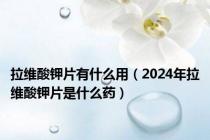 拉维酸钾片有什么用（2024年拉维酸钾片是什么药）