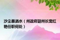 沙尘暴洒水（州政府副州长宠红艳任职何处）
