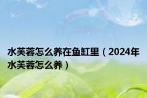 水芙蓉怎么养在鱼缸里（2024年水芙蓉怎么养）