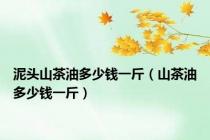 泥头山茶油多少钱一斤（山茶油多少钱一斤）